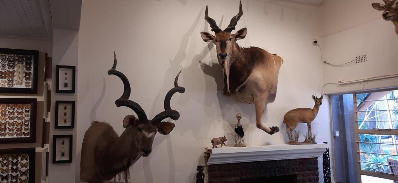 Afton Safari Lodge Κέμπτον Παρκ Εξωτερικό φωτογραφία